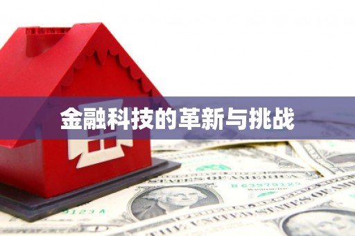 枝江金融科技的革新与挑战