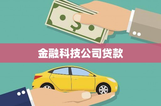 枝江金融科技公司贷款
