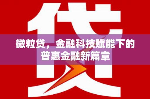 枝江微粒贷，金融科技赋能下的普惠金融新篇章
