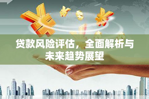 枝江贷款风险评估，全面解析与未来趋势展望