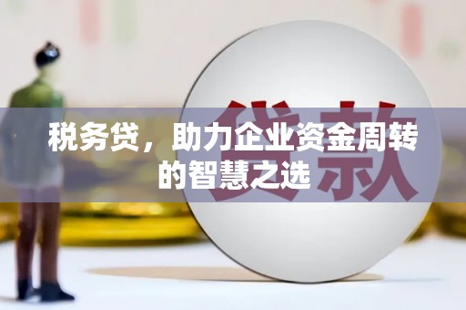 枝江税务贷，助力企业资金周转的智慧之选