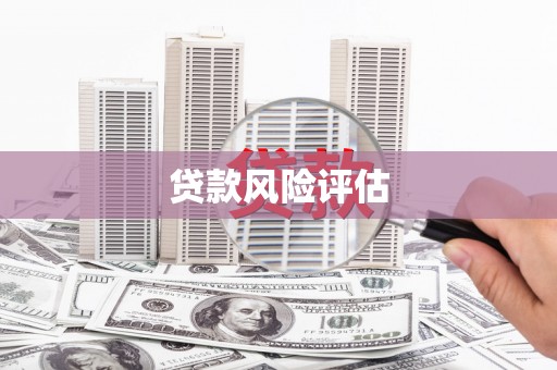 枝江贷款风险评估