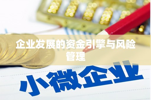 枝江企业发展的资金引擎与风险管理