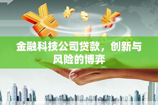 枝江金融科技公司贷款，创新与风险的博弈