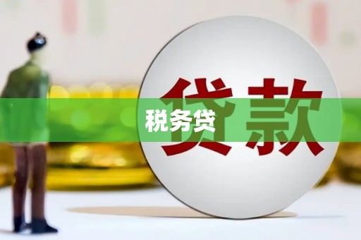 枝江税务贷