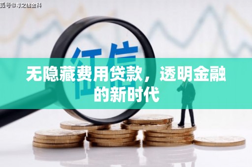 枝江无隐藏费用贷款，透明金融的新时代