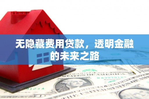 枝江无隐藏费用贷款，透明金融的未来之路