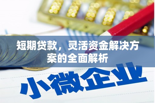 枝江短期贷款，灵活资金解决方案的全面解析