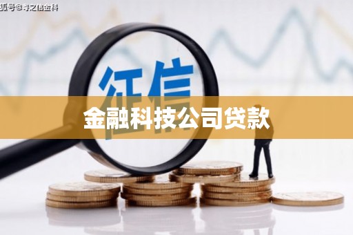 枝江金融科技公司贷款