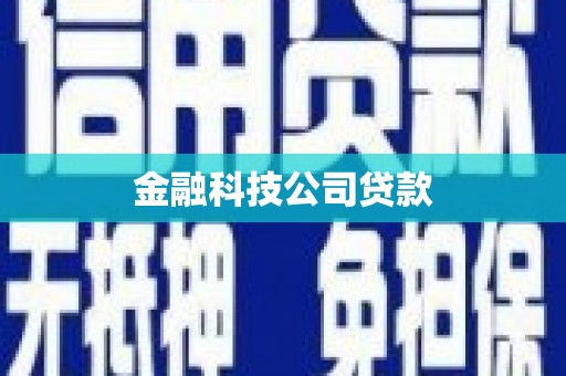 枝江金融科技公司贷款