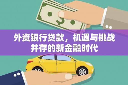 枝江外资银行贷款，机遇与挑战并存的新金融时代