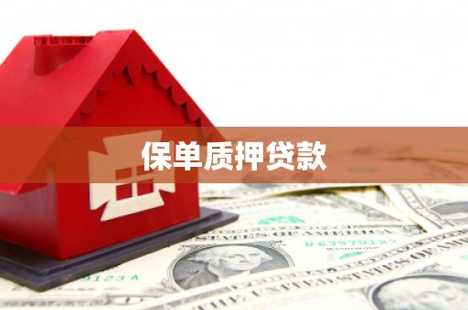 枝江保单质押贷款