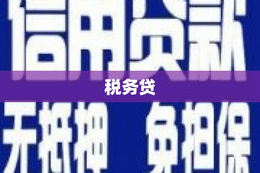 枝江税务贷