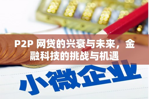 枝江P2P 网贷的兴衰与未来，金融科技的挑战与机遇