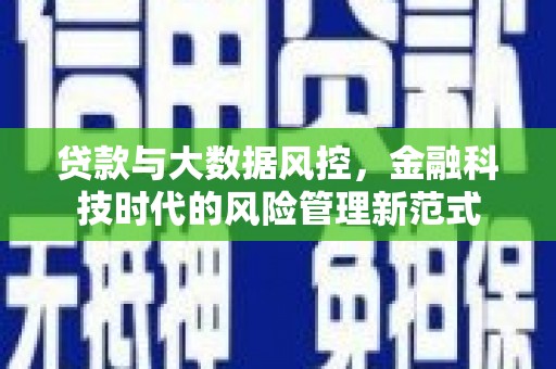 枝江贷款与大数据风控，金融科技时代的风险管理新范式