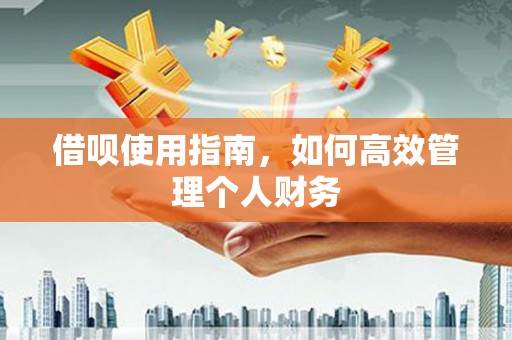 枝江借呗使用指南，如何高效管理个人财务
