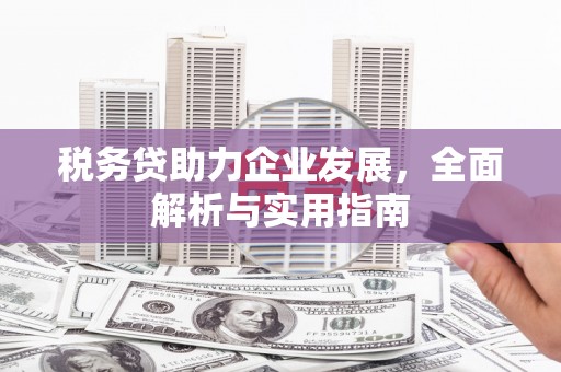 枝江税务贷助力企业发展，全面解析与实用指南