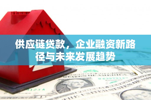 枝江供应链贷款，企业融资新路径与未来发展趋势