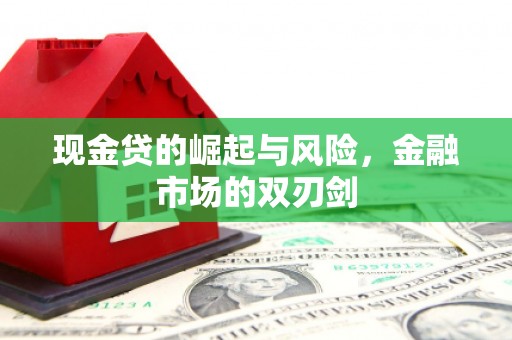枝江现金贷的崛起与风险，金融市场的双刃剑