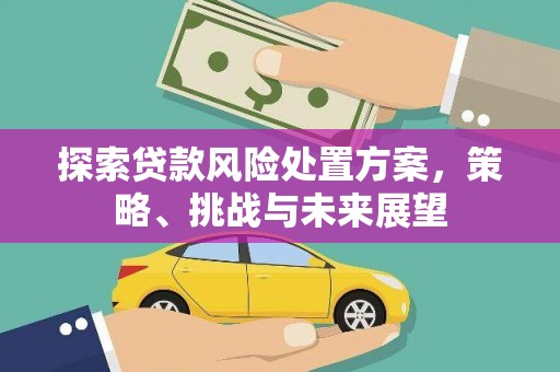 枝江探索贷款风险处置方案，策略、挑战与未来展望