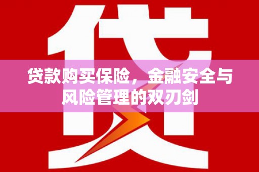 枝江贷款购买保险，金融安全与风险管理的双刃剑