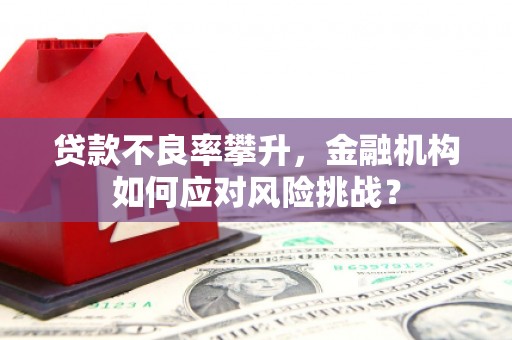 枝江贷款不良率攀升，金融机构如何应对风险挑战？