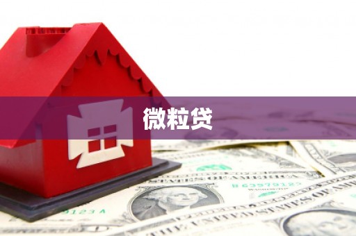 枝江微粒贷