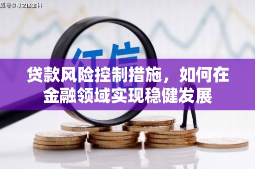枝江贷款风险控制措施，如何在金融领域实现稳健发展