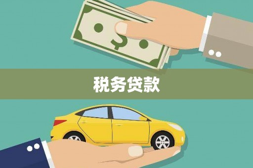 枝江税务贷款