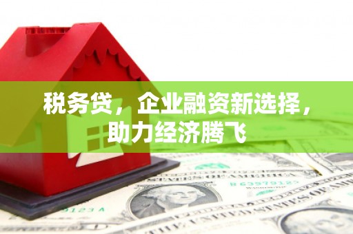 枝江税务贷，企业融资新选择，助力经济腾飞