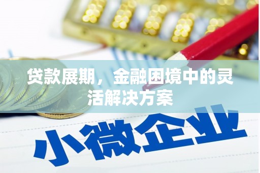枝江贷款展期，金融困境中的灵活解决方案