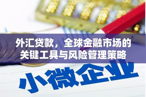 枝江外汇贷款，全球金融市场的关键工具与风险管理策略