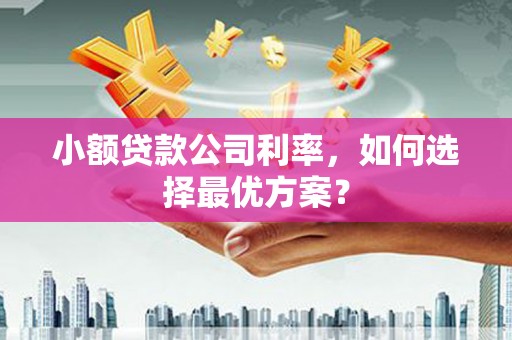 枝江小额贷款公司利率，如何选择最优方案？
