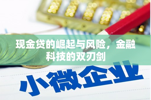 枝江现金贷的崛起与风险，金融科技的双刃剑