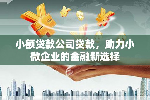 枝江小额贷款公司贷款，助力小微企业的金融新选择