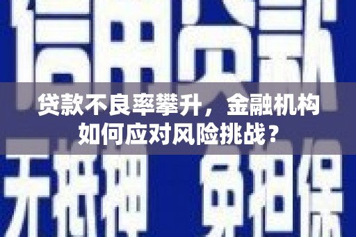 枝江贷款不良率攀升，金融机构如何应对风险挑战？