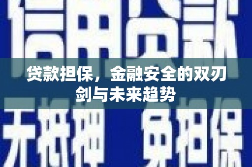 枝江贷款担保，金融安全的双刃剑与未来趋势