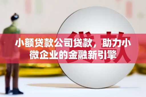枝江小额贷款公司贷款，助力小微企业的金融新引擎