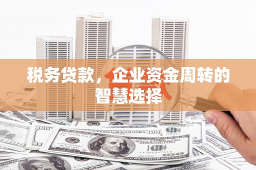枝江税务贷款，企业资金周转的智慧选择