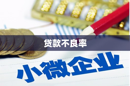 枝江贷款不良率