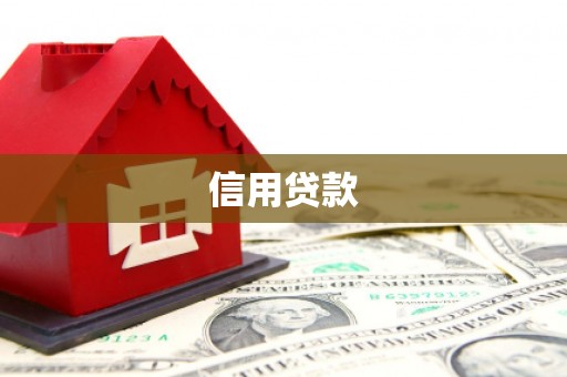 枝江信用贷款