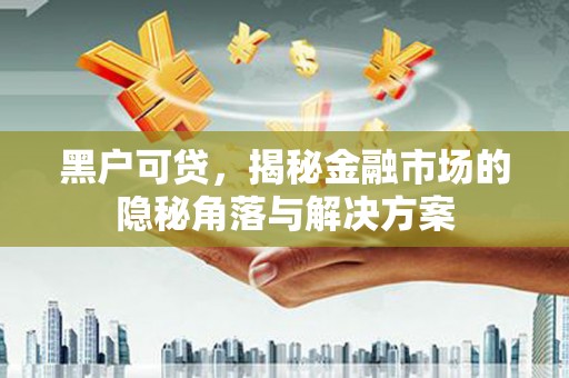 枝江黑户可贷，揭秘金融市场的隐秘角落与解决方案