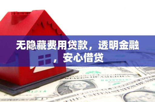 枝江无隐藏费用贷款，透明金融，安心借贷