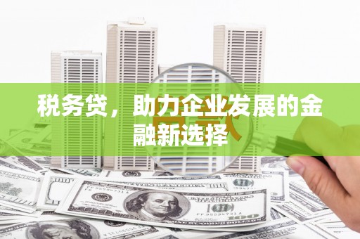 枝江税务贷，助力企业发展的金融新选择