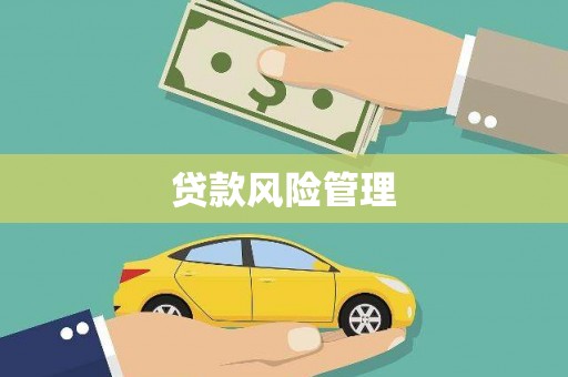 枝江贷款风险管理