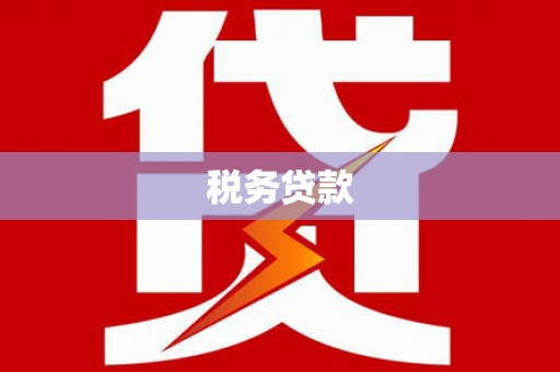 枝江税务贷款