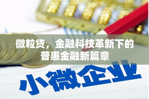 枝江微粒贷，金融科技革新下的普惠金融新篇章