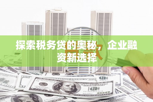 枝江探索税务贷的奥秘，企业融资新选择