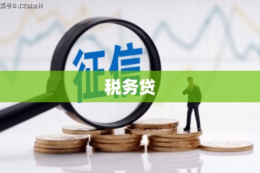 枝江税务贷