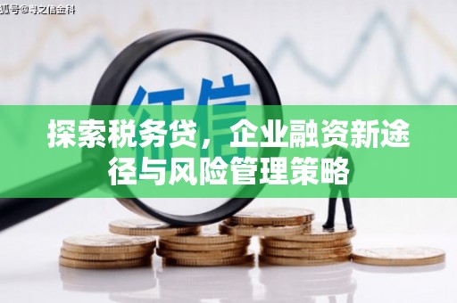 枝江探索税务贷，企业融资新途径与风险管理策略